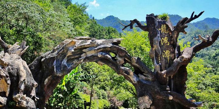 Longwan Pond National Forest Park