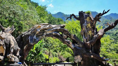 浙江龍湾潭国家森林公園