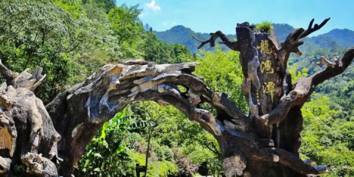 龍灣潭國家森林公園