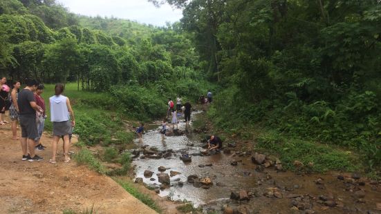 田心公園是一座山，範圍很大，可以分成環山步道（騎腳踏車）跟登