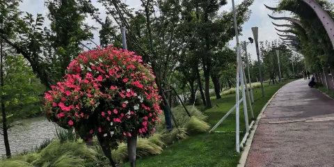 夾河跑馬公園