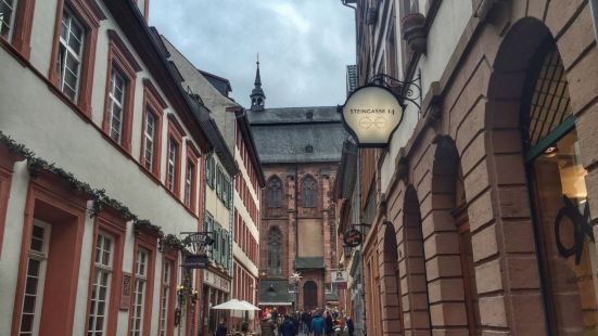 Heidelberg debris and chateau,