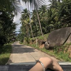 The Jungle Club Restaurant ảnh của người dùng