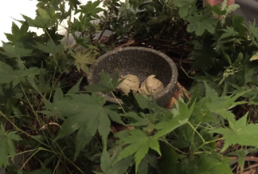 Narisawa用戶圖片