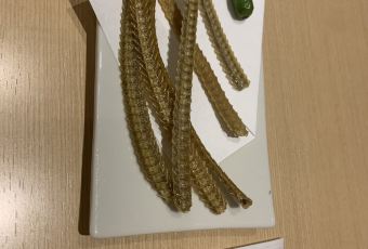 熱田蓬萊軒（松阪屋店）用戶圖片