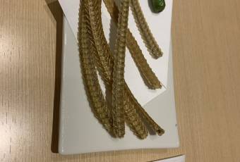 熱田蓬萊軒（松阪屋店）用戶圖片