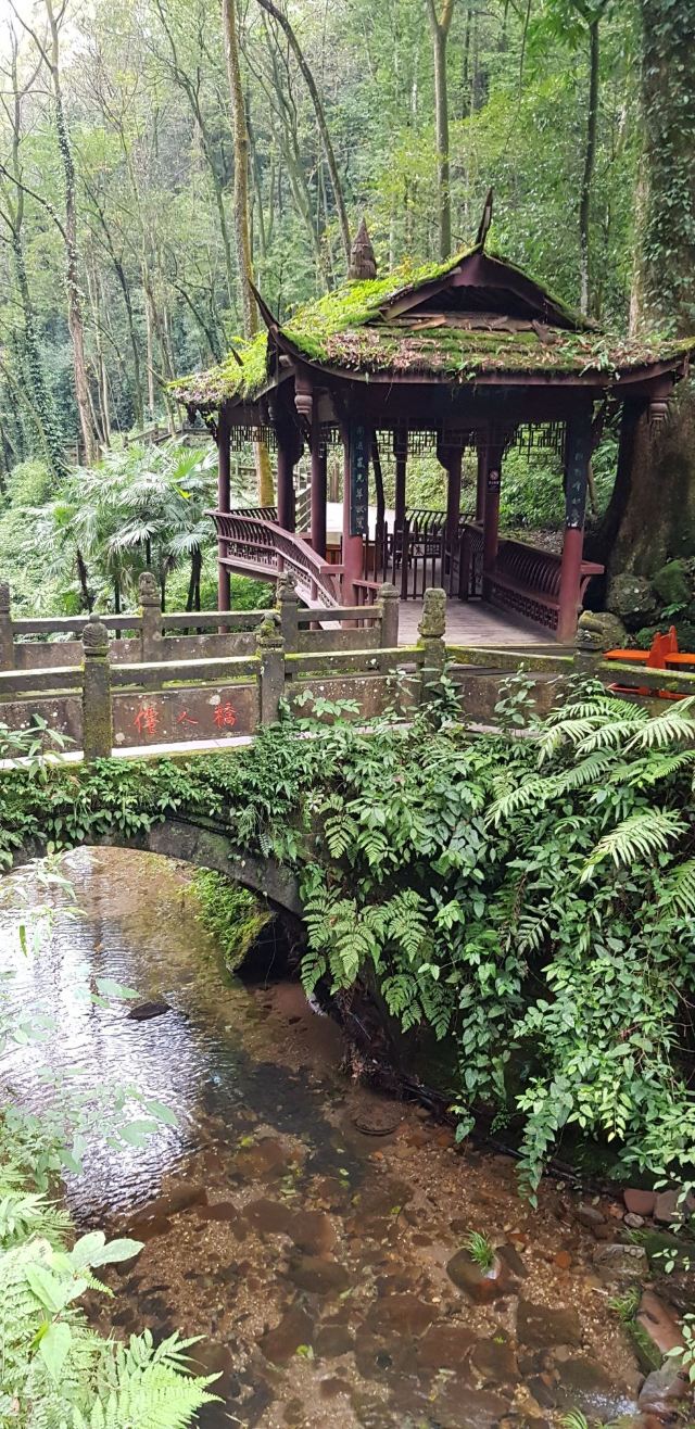 Qingcheng Mountain