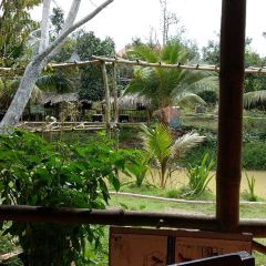 On the Sand restaurant Mango Bay resort ảnh của người dùng