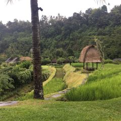 Kubu RESTAURANT User Photo