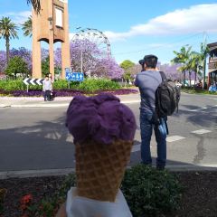 I Scream User Photo