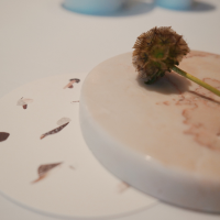 獨特的藝術西餐廳，亞洲60 餐廳排名第一的odette