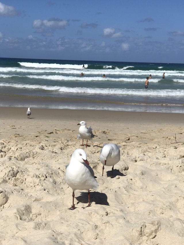 Gold Coast
