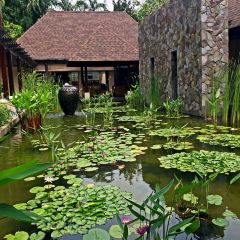 The Pomelo - The Banjaran Hotsprings Retreat User Photo