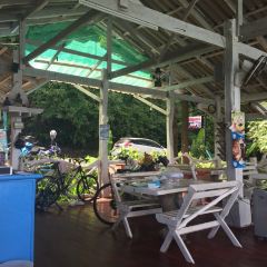 Panorama User Photo