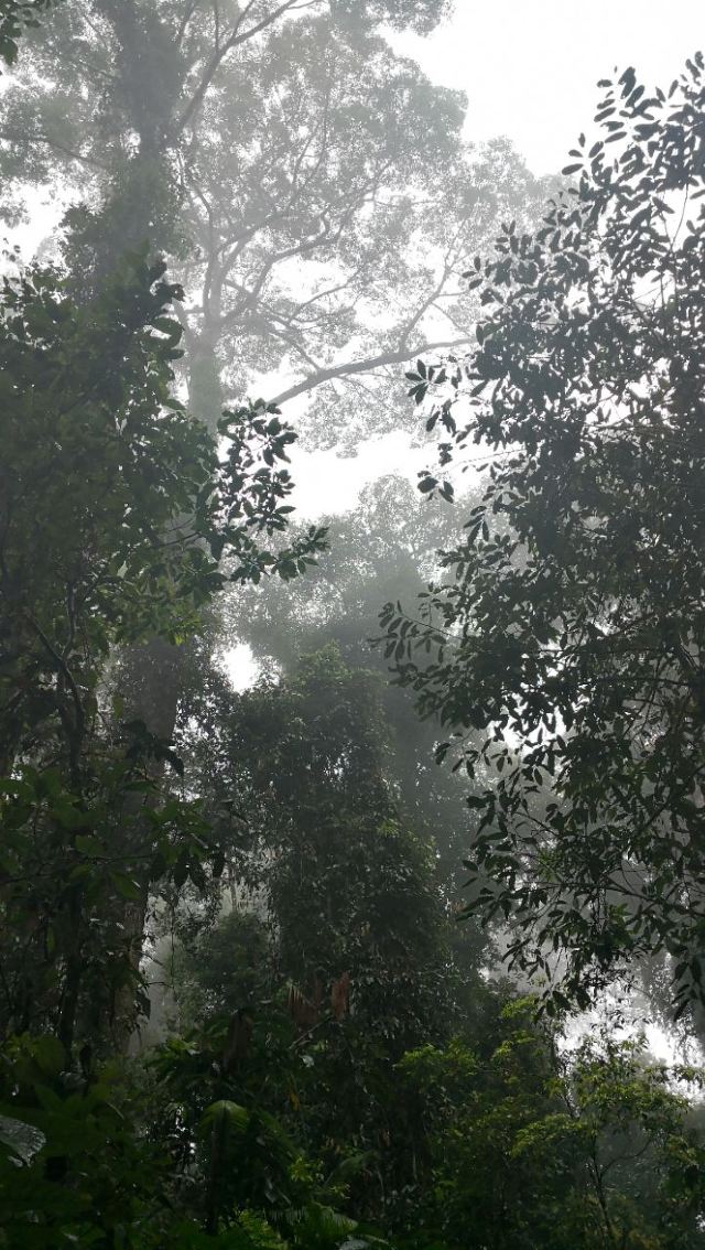 斗湖山公園