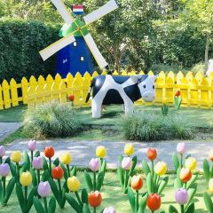 MIFFY'S GARDEN CAFÉ User Photo