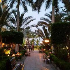 La Luna Bella Vista張用戶圖片