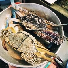Anjung Lepa User Photo