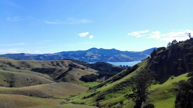 Otago Peninsula