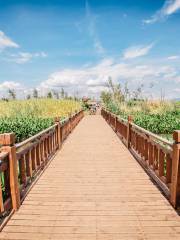 Haidong Wetlands Park