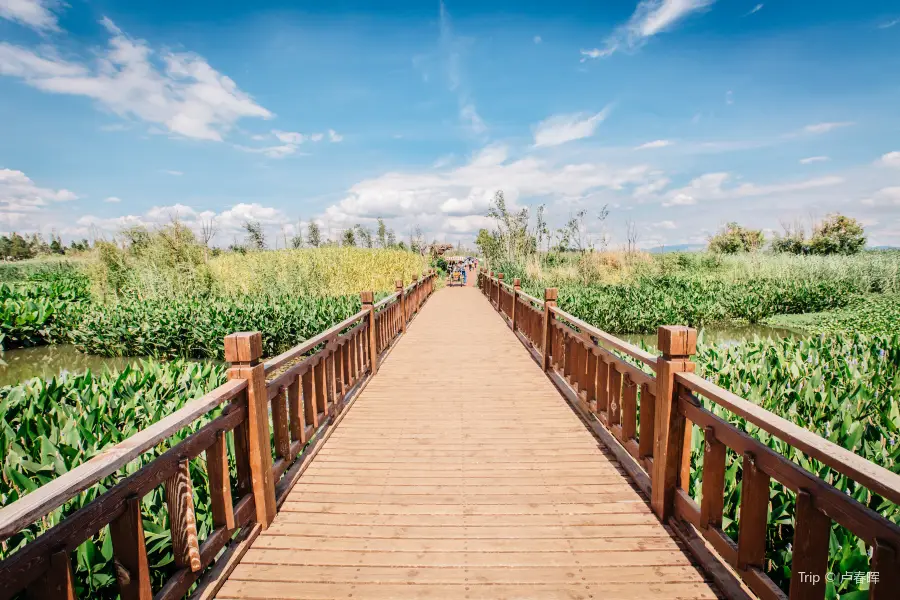 Haidong Wetlands Park