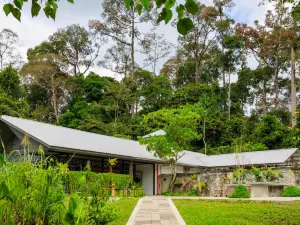 Bornean Sun Bear Conservation Centre (BSBCC)