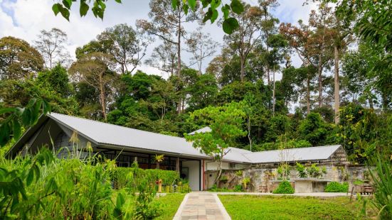 Bornean Sun Bear Conservation Centre (BSBCC)