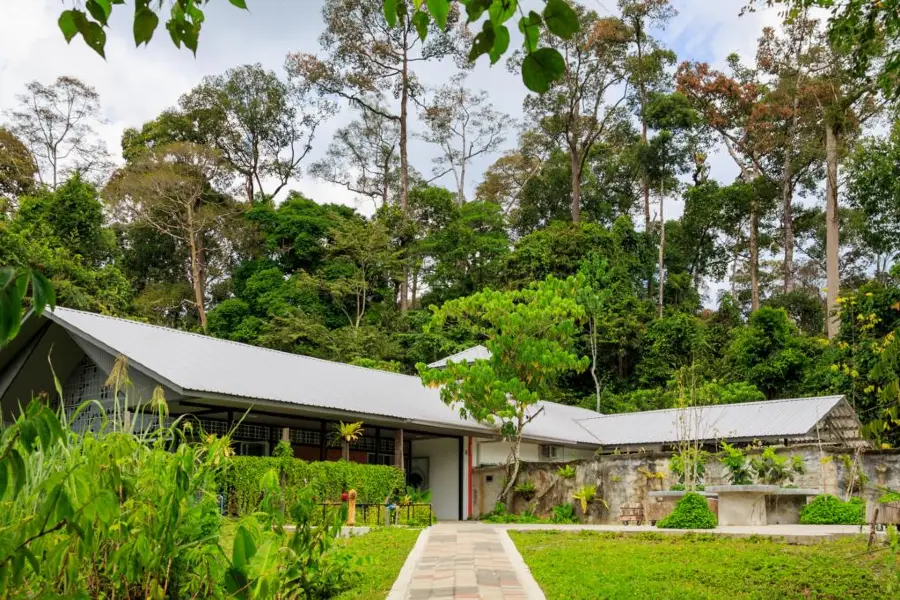 Bornean Sun Bear Conservation Centre (BSBCC)