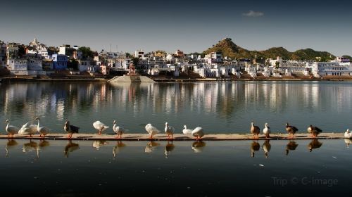 Pushkar Lake