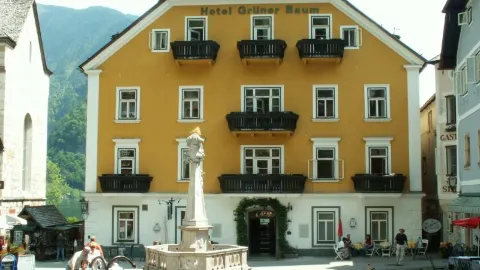 Restaurant Grüner Baum - Lake side Terrace in Hallstatt