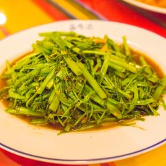 巴沙諾瓦餐廳 User Photo