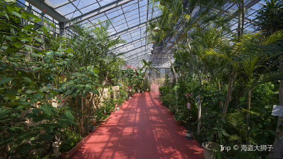 Ryugujo Butterfly Garden