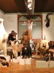 Strasbourg Zoological Museum