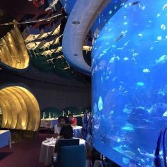 Ristorante L’Olivo at Al Mahara User Photo