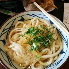Marukame Udon User Photo