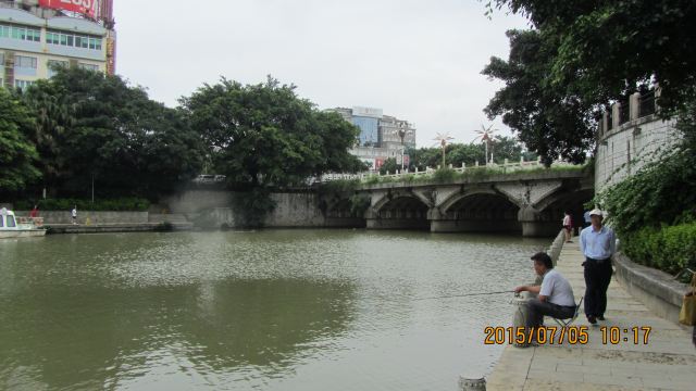 도화강