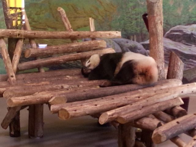 Toronto Zoo