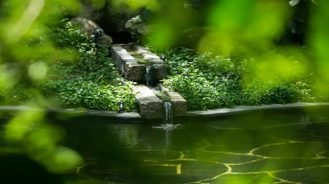 Xinxing Hot Springs