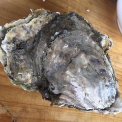 农夫码头海鲜排档(南澳店) User Photo