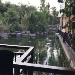 西双版纳洲际度假酒店海鲜傣味烧烤·侬香全日制餐厅 User Photo