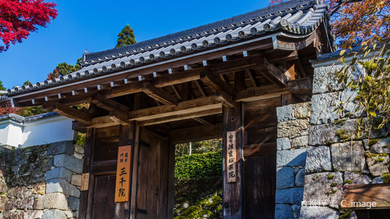 京都日遊