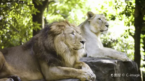 Ueno Zoo