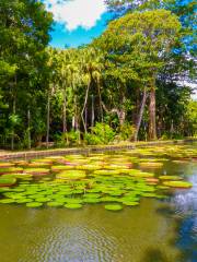 Botanical Garden