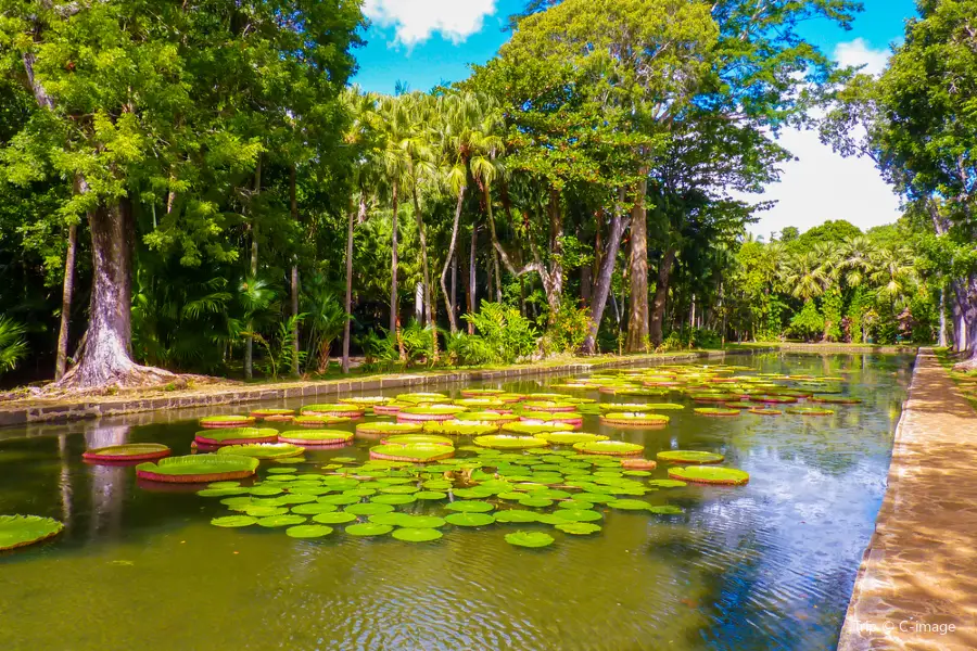 蘇黎世植物園