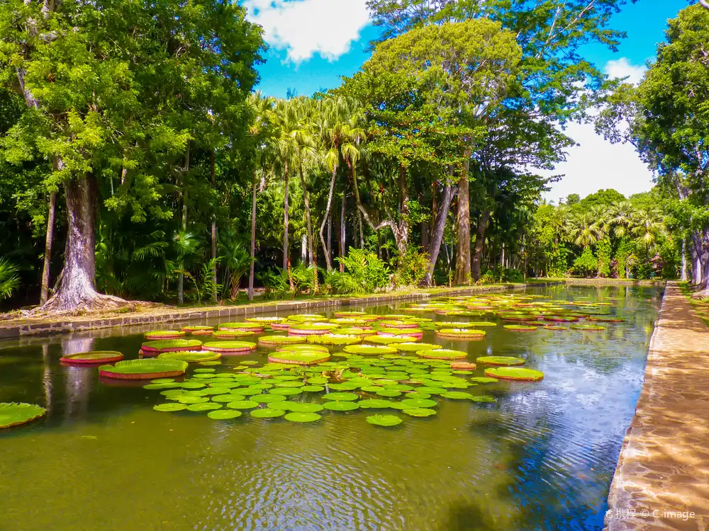 Hotels near Botanical Garden