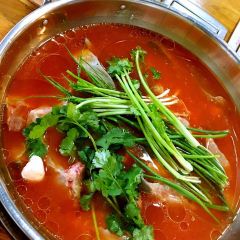 凯里酸汤鱼(碧云路店) User Photo