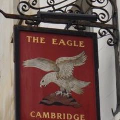 Eagle 여행 사진
