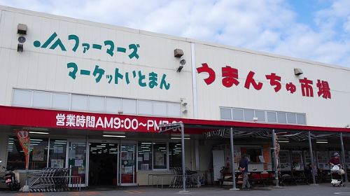 うまんちゅ市場