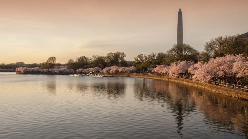 Washington Monument