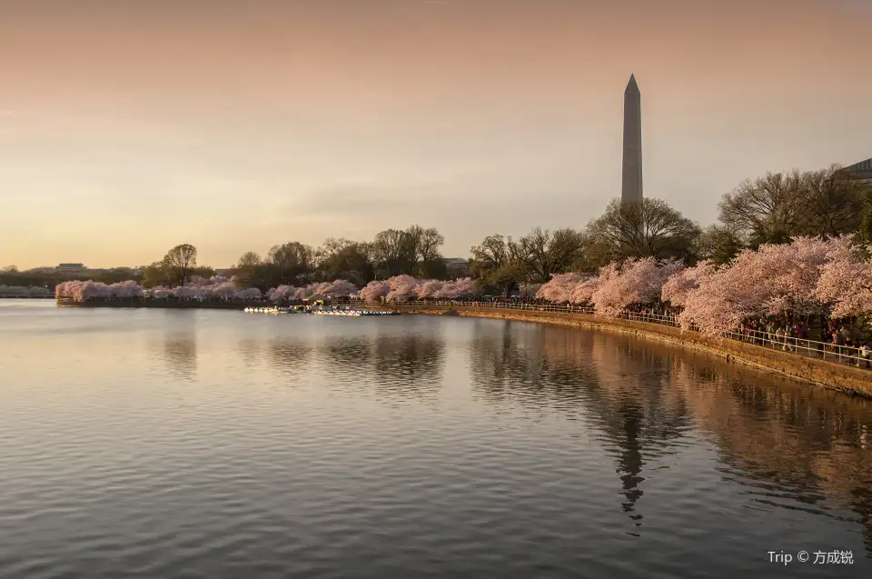 4_Washington Monument